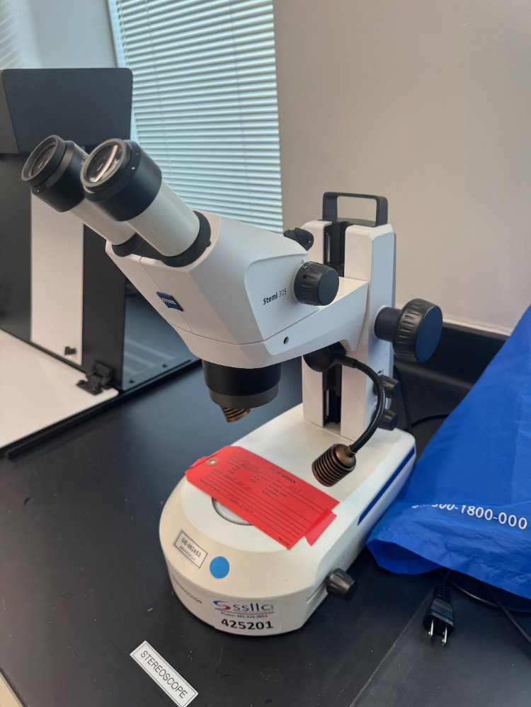 Image of Zeiss Stemi 305 Stereo Microscope